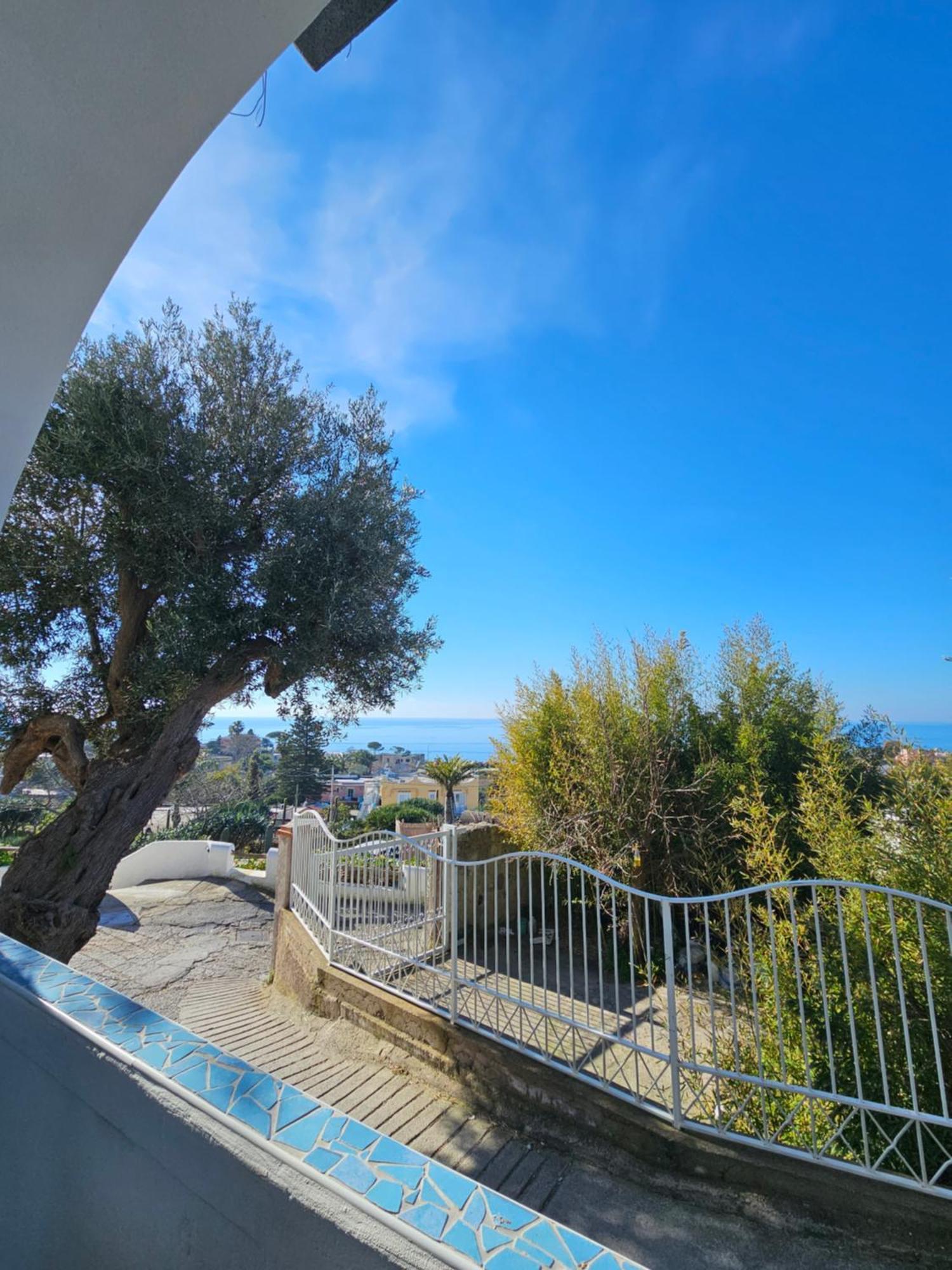 Residence Limoneto Ischia Forio di Ischia Buitenkant foto