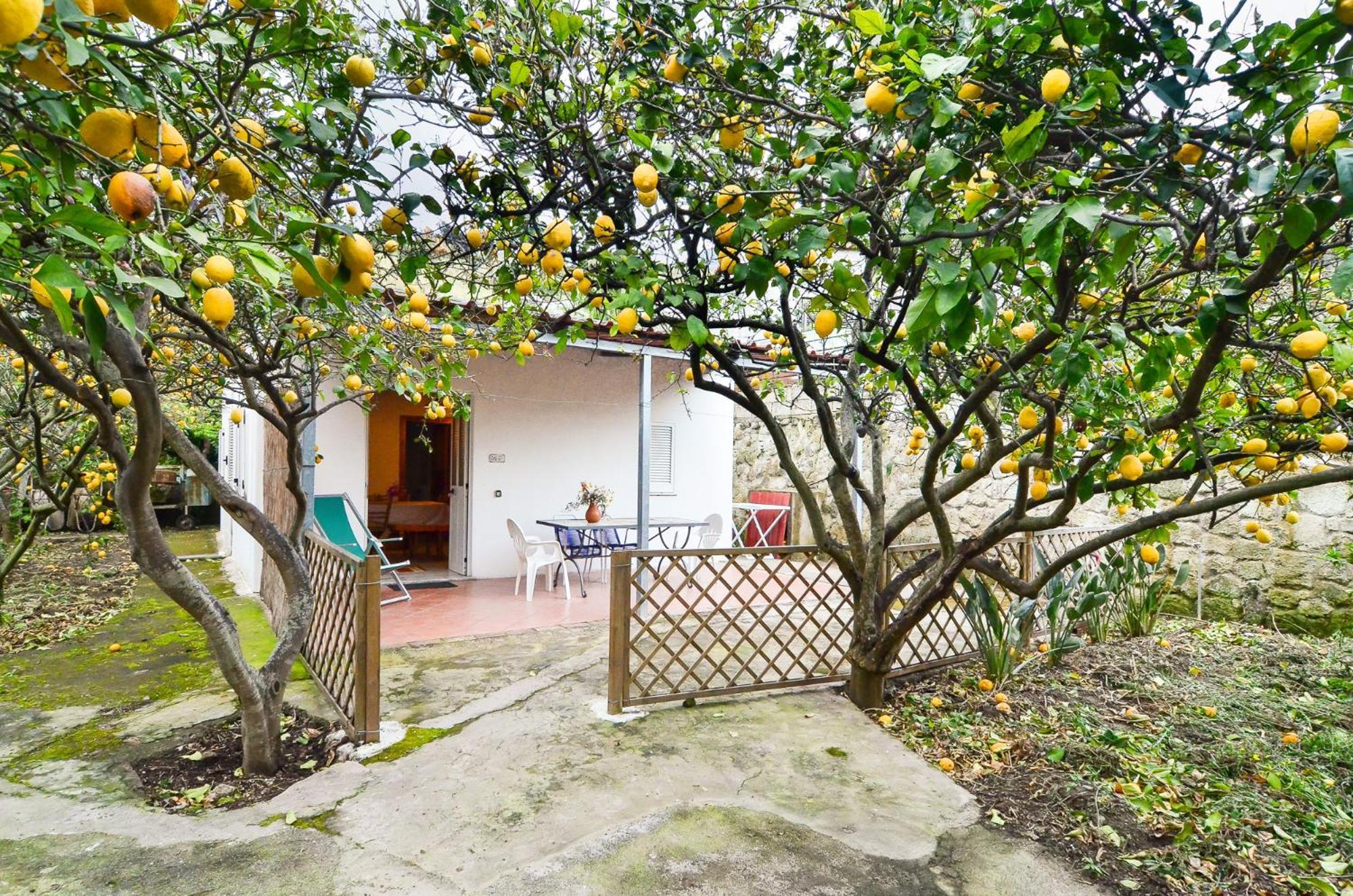 Residence Limoneto Ischia Forio di Ischia Buitenkant foto