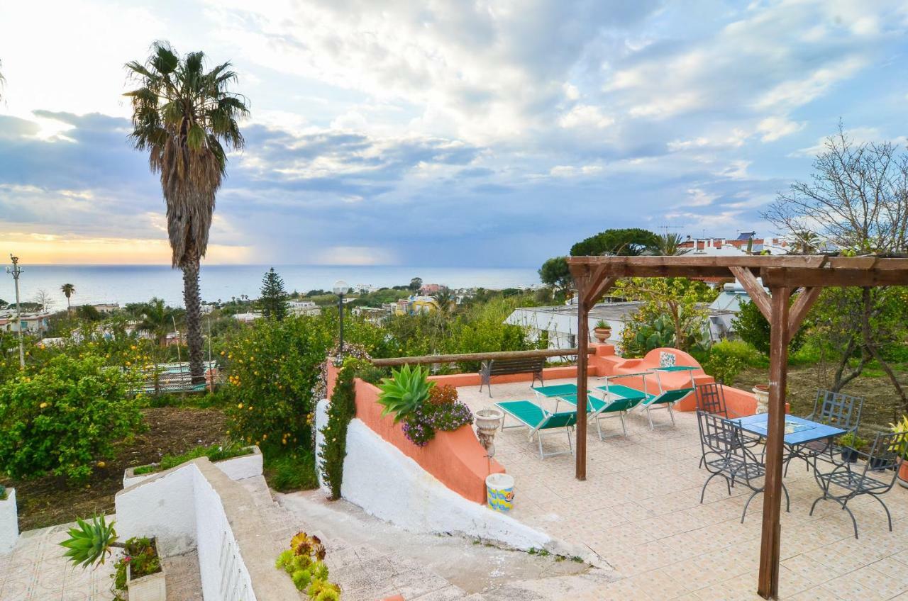 Residence Limoneto Ischia Forio di Ischia Buitenkant foto