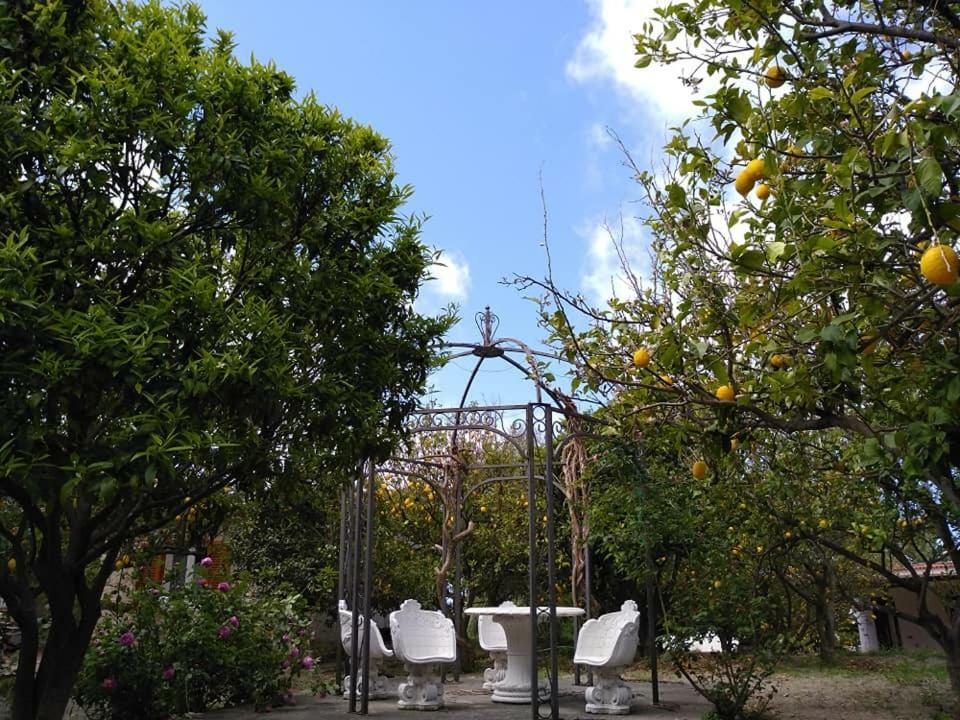 Residence Limoneto Ischia Forio di Ischia Buitenkant foto